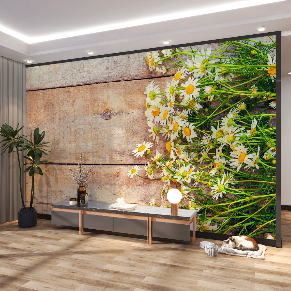 Fototapeta bukiet stokrotek na desce parkietowej