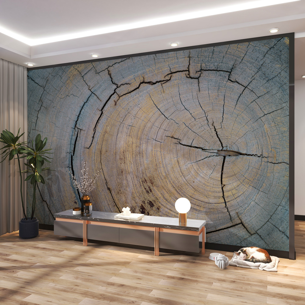 Fototapeta zbliżenie pnia drzewa