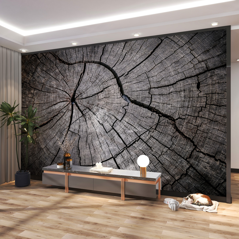 Fototapeta pęknięcia na starym kawałku drewna