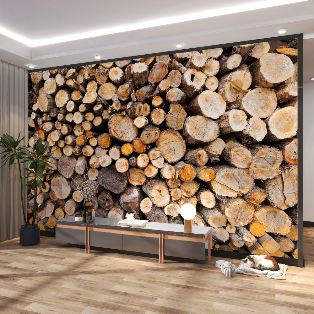 Fototapeta dużo wyciętych drzew