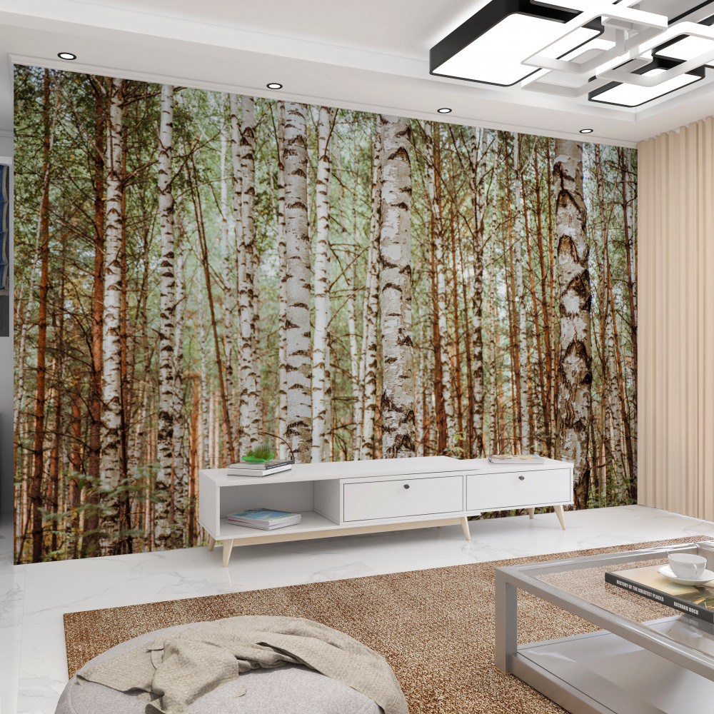 Fototapeta smukła brzoza w lesie