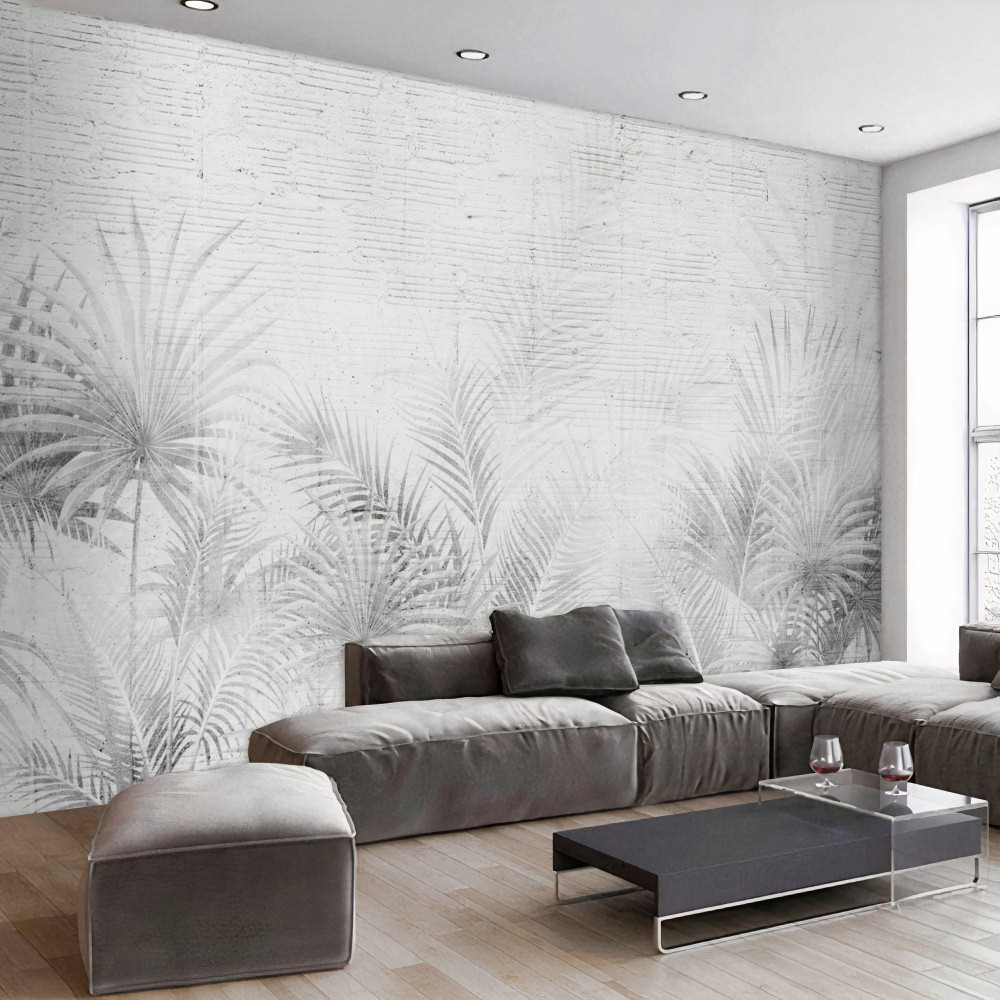 Fototapeta mglisty poranek w dżungli