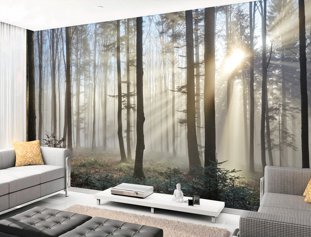 Fototapeta promienie słońca przecinają mgłę w lesie