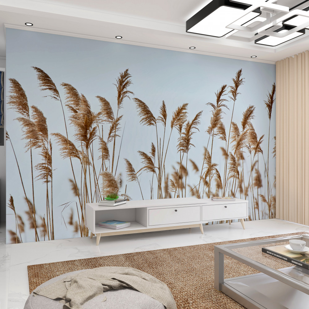 Fototapeta kłosy pszenicy sięgające nieba