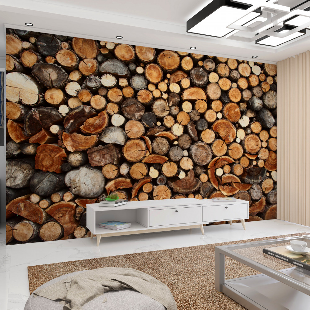 Fototapeta wielokolorowe plasterki drzewa