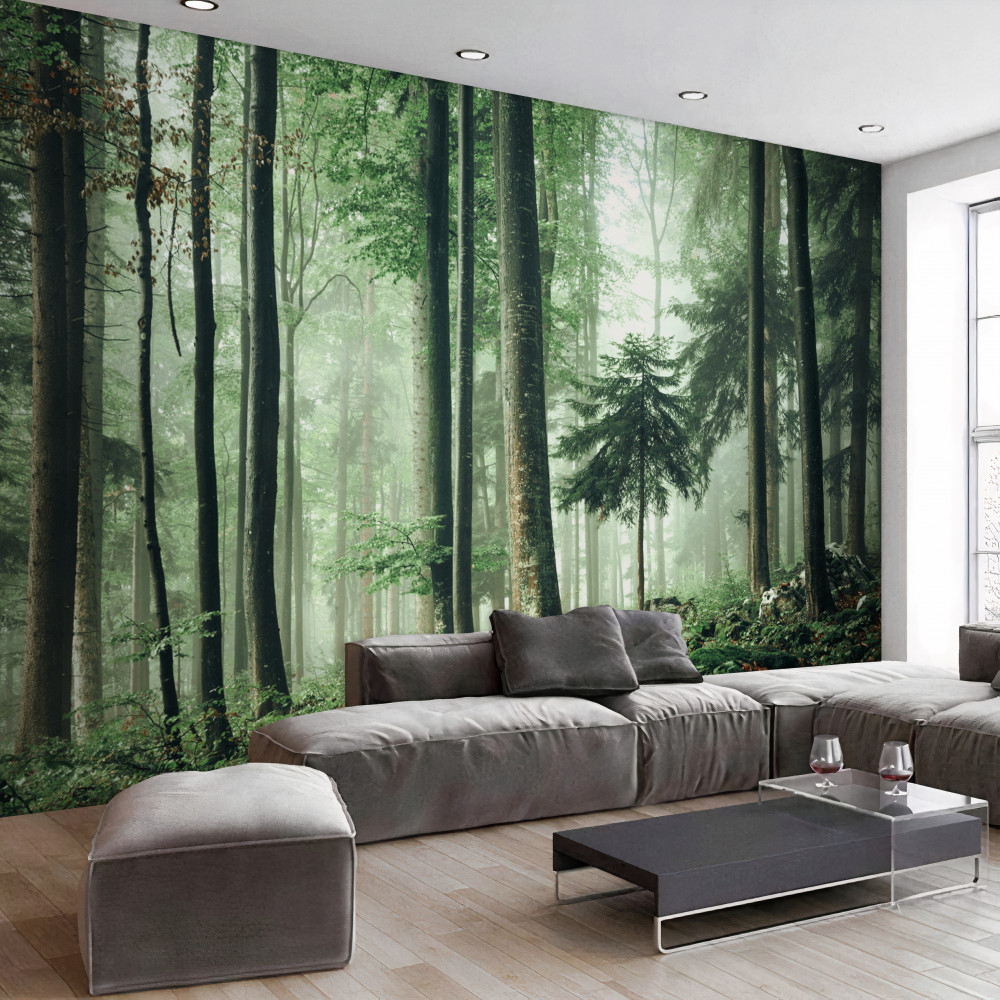 Fototapeta światło we mgle lasu liściastego