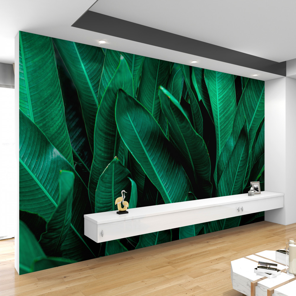 Fototapeta bogata szmaragdowa paproć