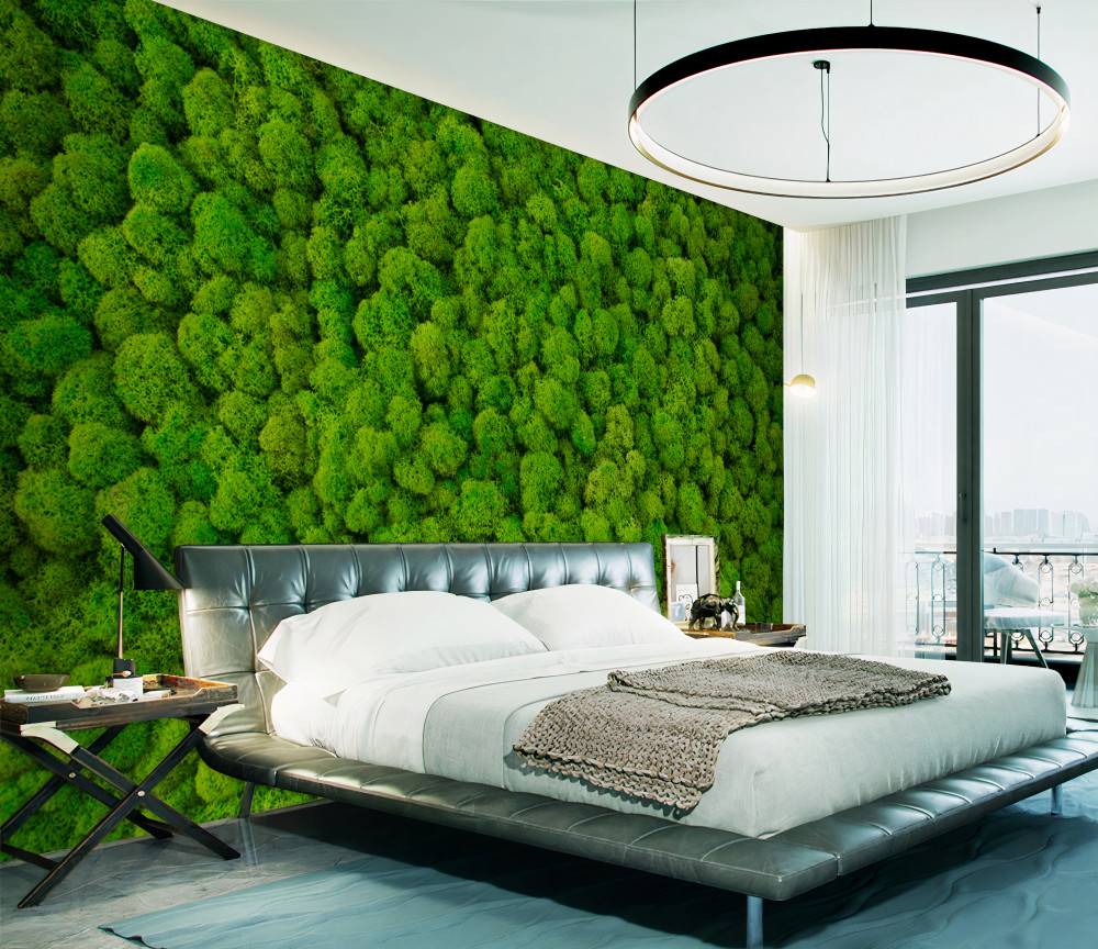 Fototapeta gęste wierzchołki zielonych drzew