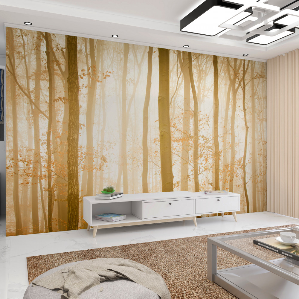 Fototapeta promienie słoneczne przechodzą przez mgłę w lesie