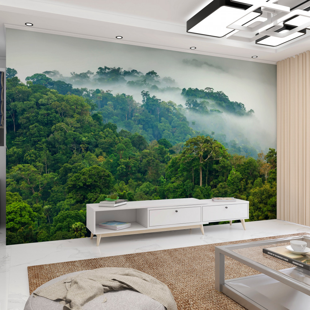 Fototapeta gęsta mgła pokrywa dżunglę