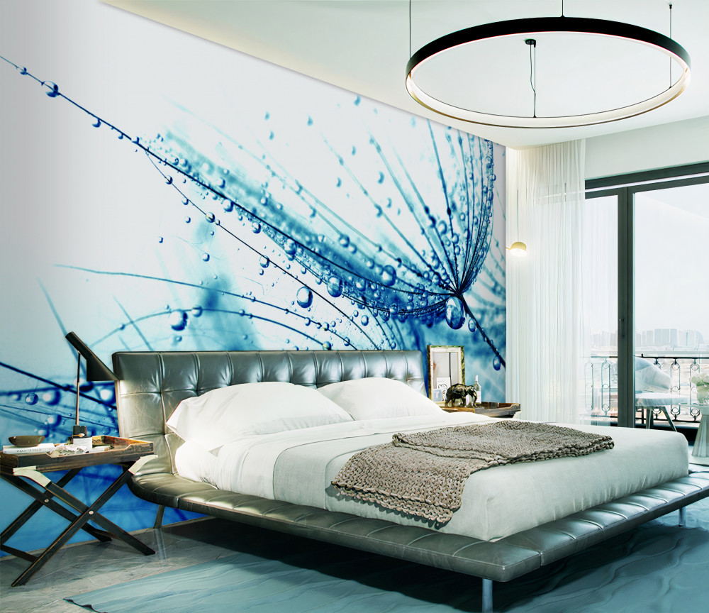 Fototapeta mniszek lekarski w kroplach