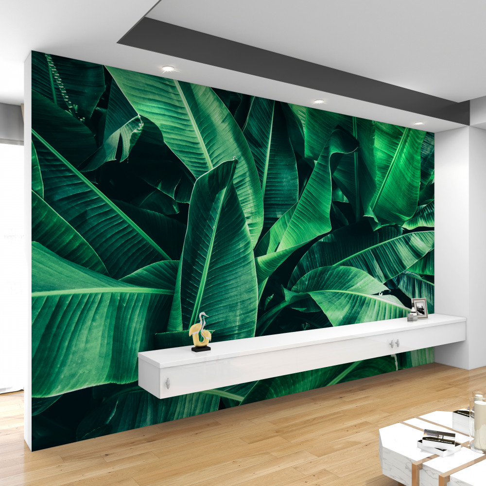 Fototapeta szmaragdowa roślinność tropików