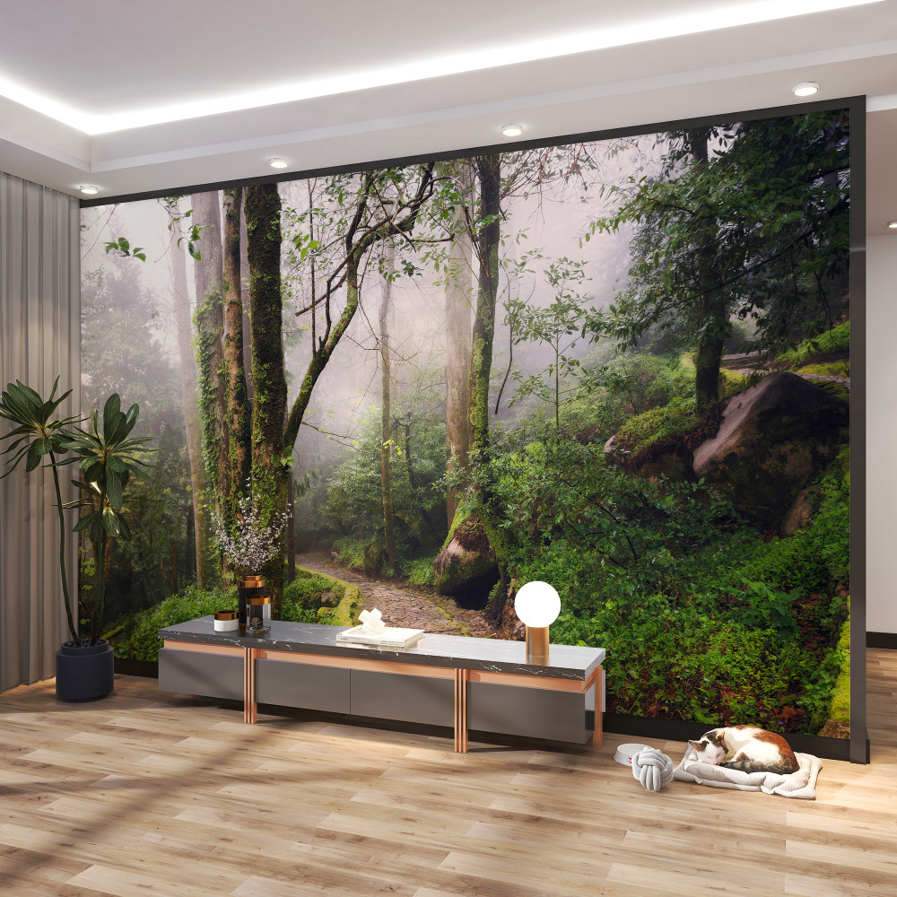 Fototapeta ścieżka przez mglisty zielony las