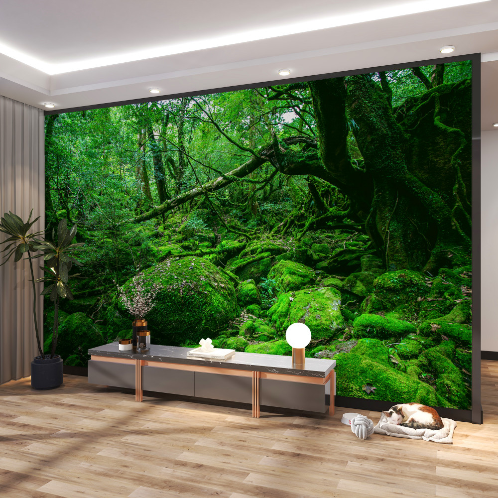 Fototapeta bujny zielony las bez słońca