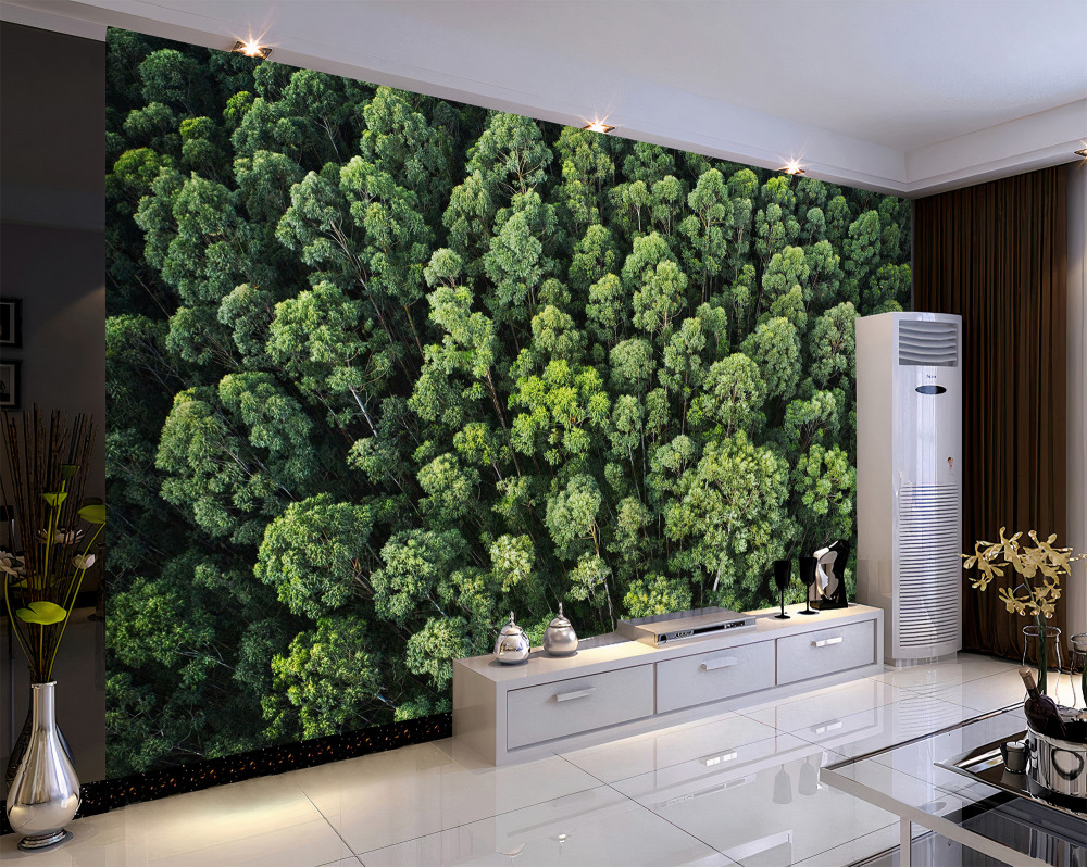 Fototapeta zielone krawędzie drzew leśnych