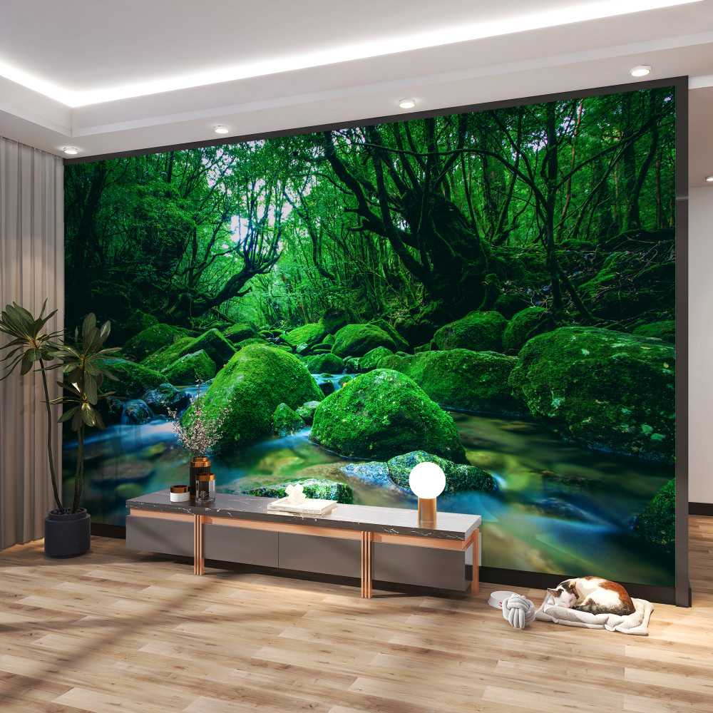 Fototapeta śpiący las w pobliżu wodospadu