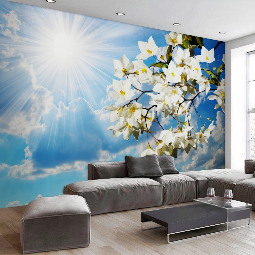 Fototapeta kwitnąca biała ramka jaśminu