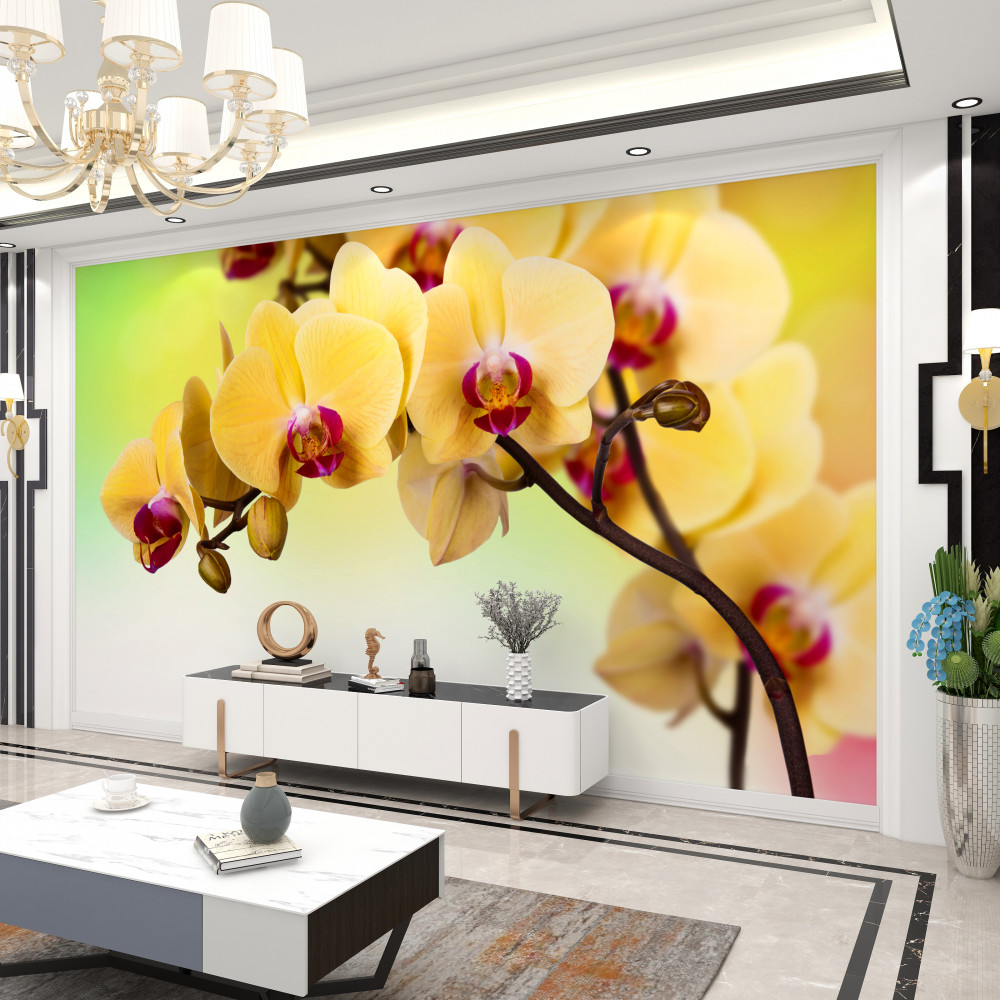 Fototapeta kwitnąca żółta ramka orchidei