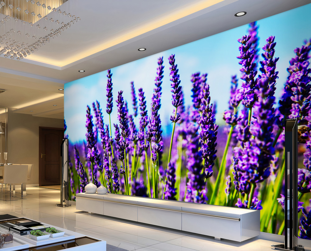 Fototapeta fioletowa lawenda na błękitnym niebie