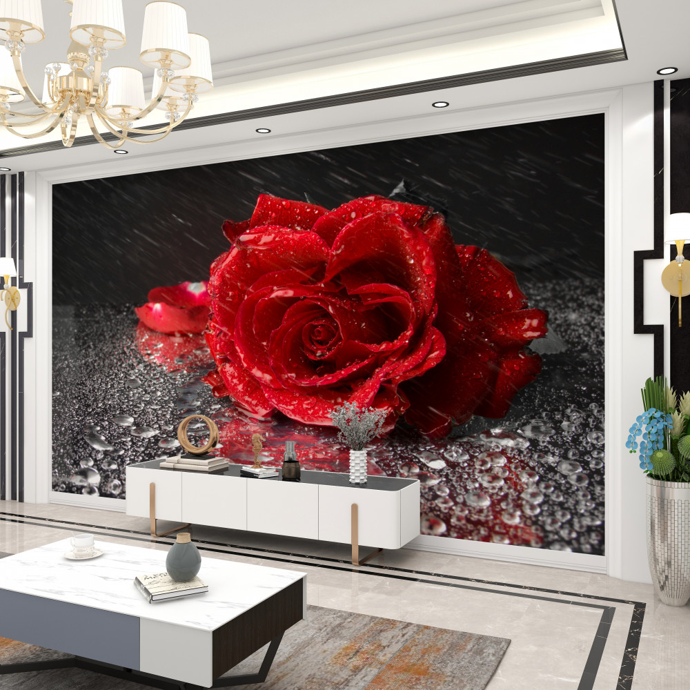 Fototapeta czerwona róża w deszczu