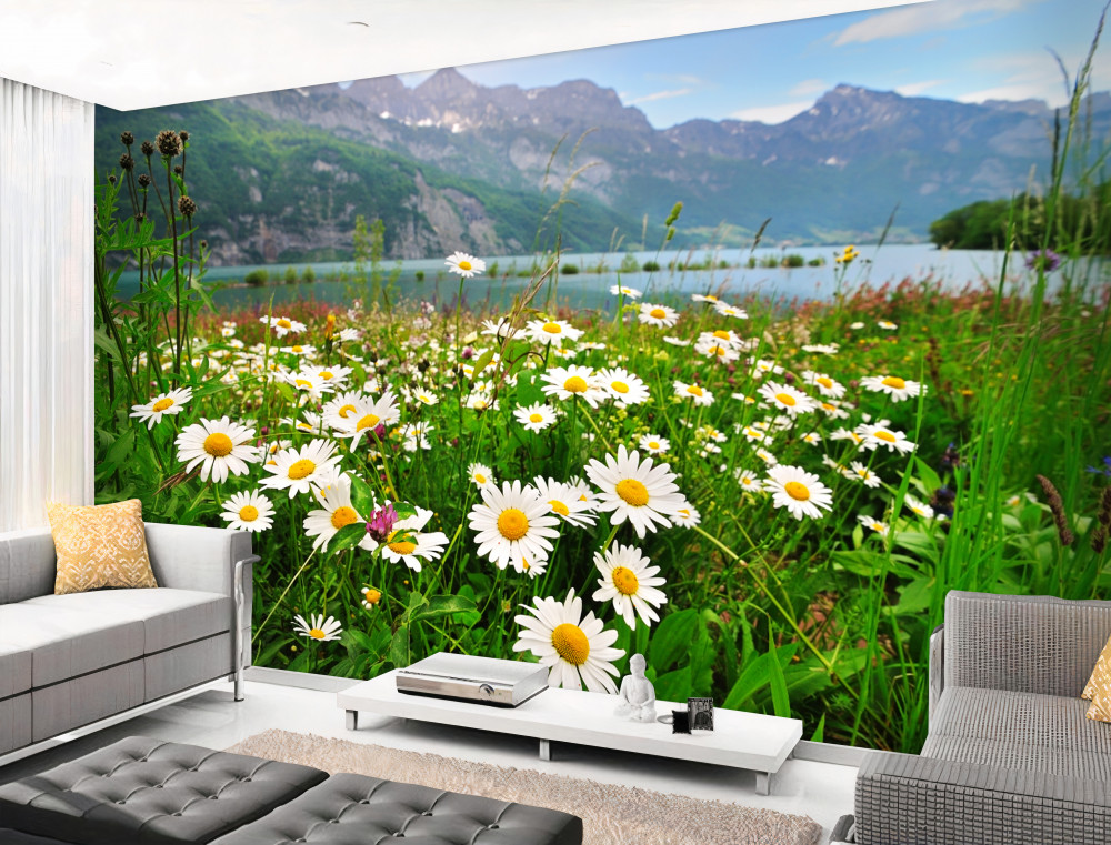 Fototapeta górski krajobraz z polem stokrotek