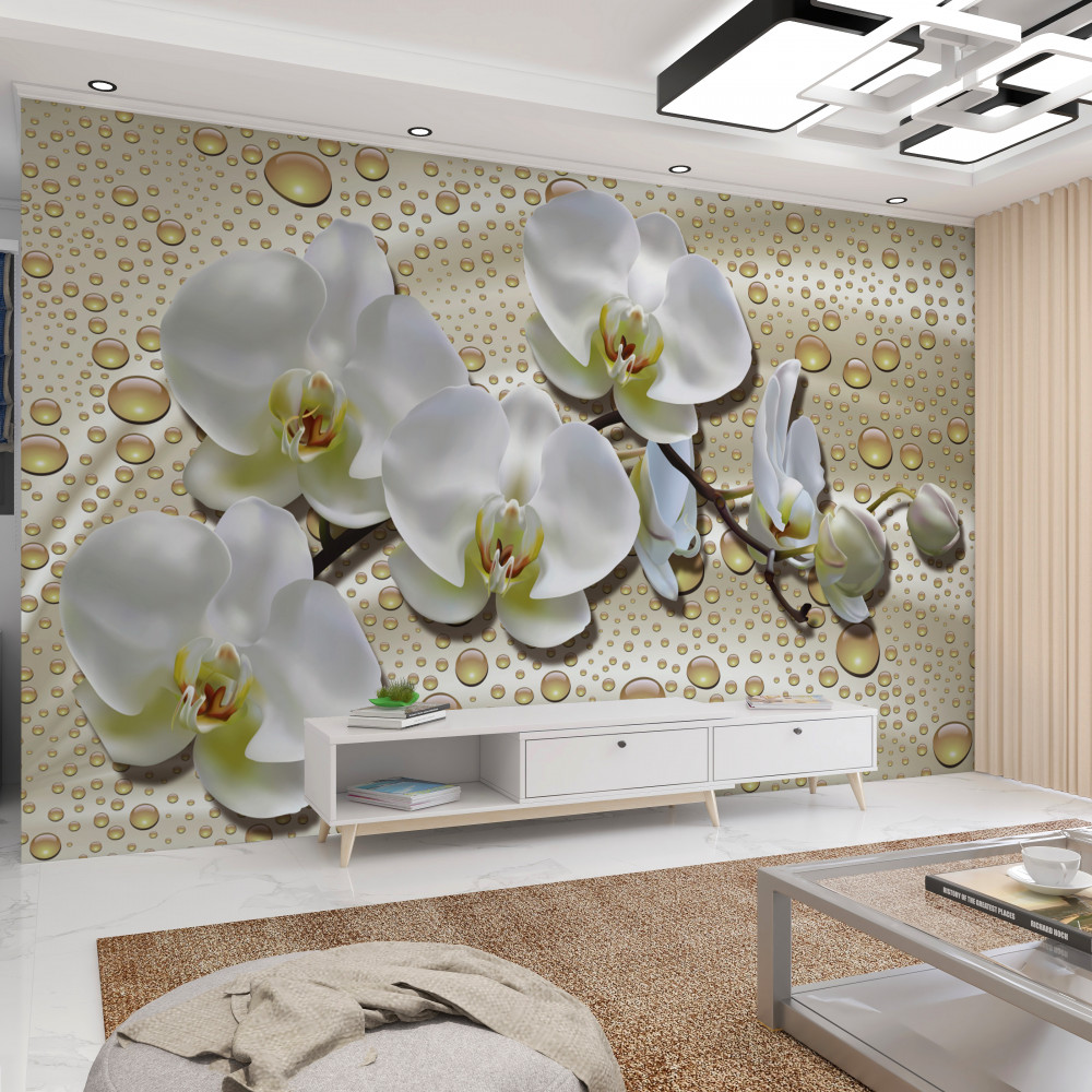 Fototapeta biała ramka orchidei po deszczu na jedwabiu