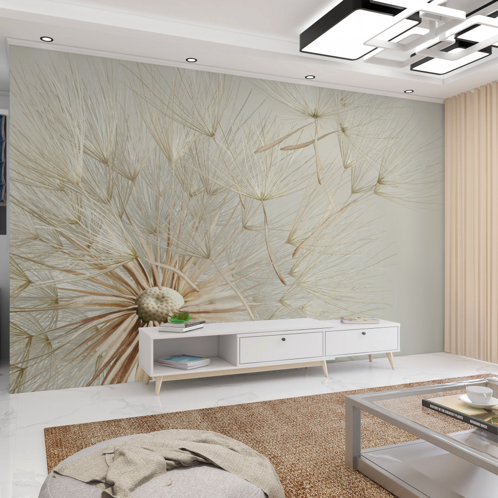 Fototapeta wiatr wieje kwiaty mniszka lekarskiego