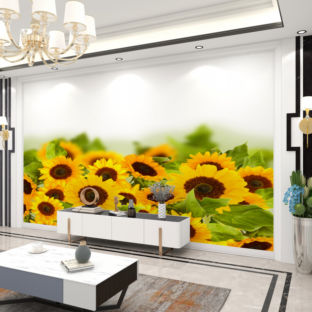 Fototapeta kolorowe pole słoneczników