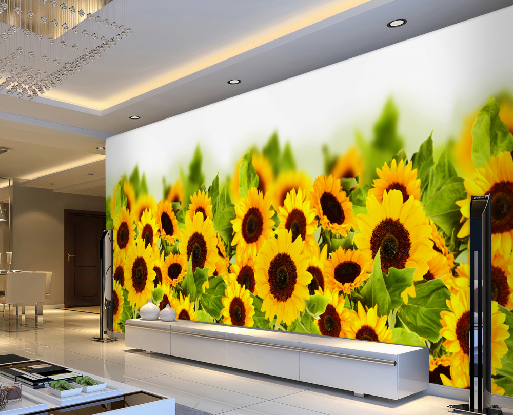 Fototapeta dużo słoneczników