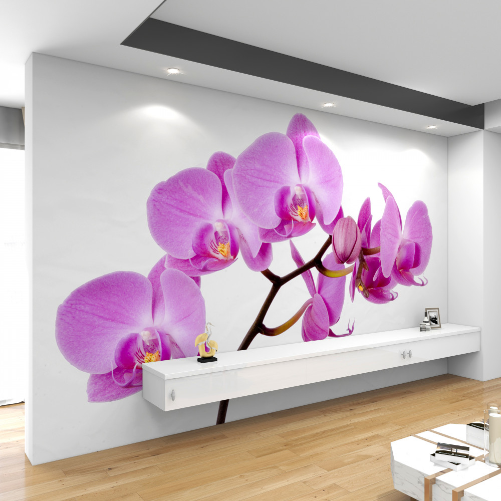 Fototapeta Afrodyta z fioletowej orchidei
