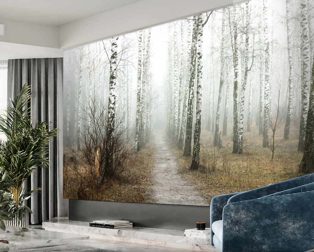 Fototapeta ścieżka przez mglisty las brzozowy
