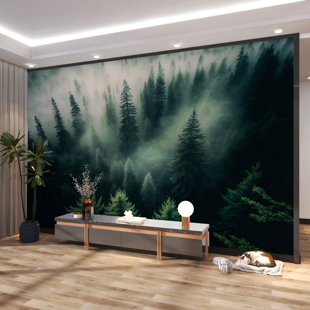 Fototapeta mgła w nocnym lesie iglastym