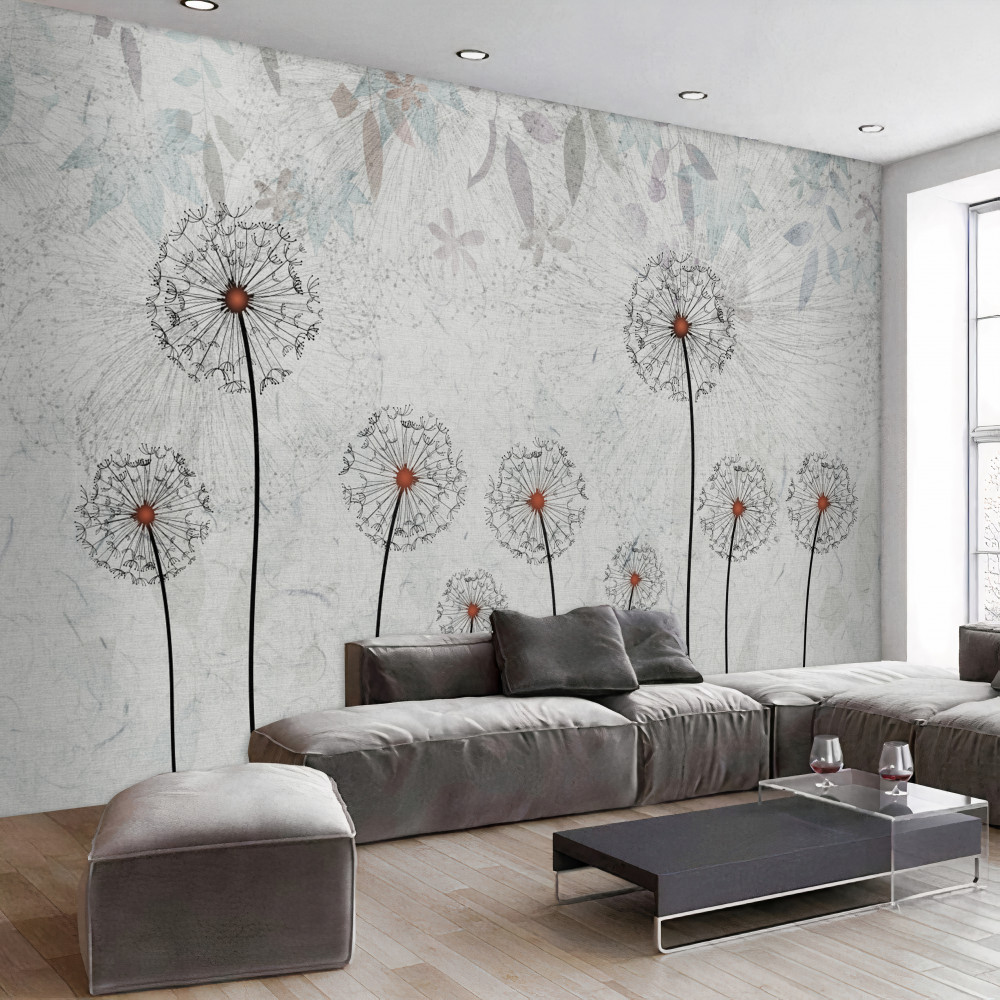 Fototapeta smukłe mlecze na szarym tle