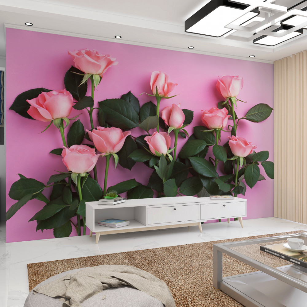 Fototapeta różowe róże na różowym tle