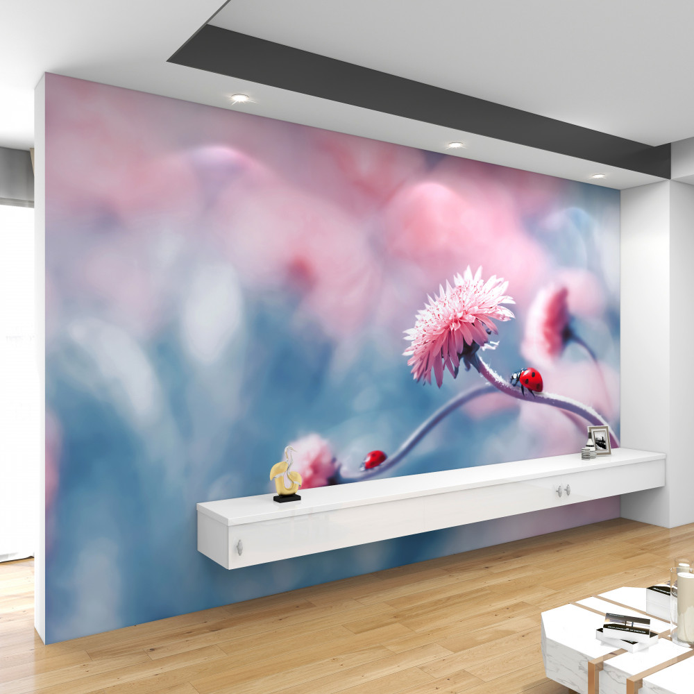 Fototapeta biedronki na różowych kwiatach