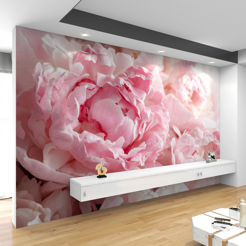 Fototapeta miękki różowy bukiet piwonii