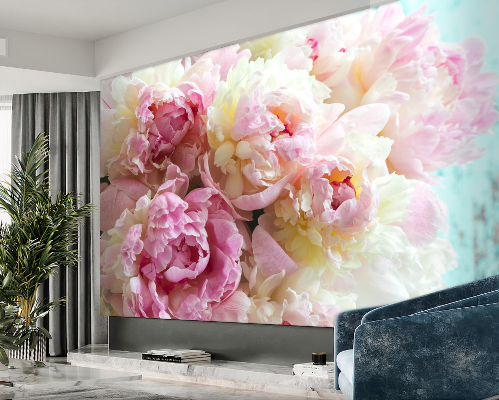 Fototapeta delikatne różowe piwonie