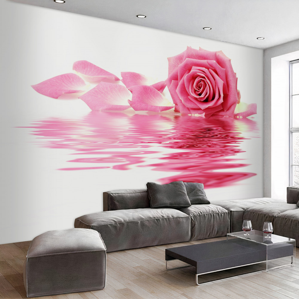 Fototapeta różowa róża w odbiciu w wodzie