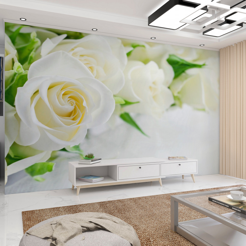 Fototapeta biała róża na białym tle