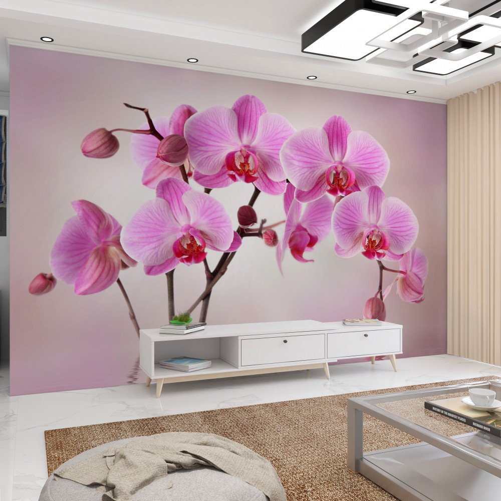 Fototapeta gałęzie liliowej orchidei nad wodą