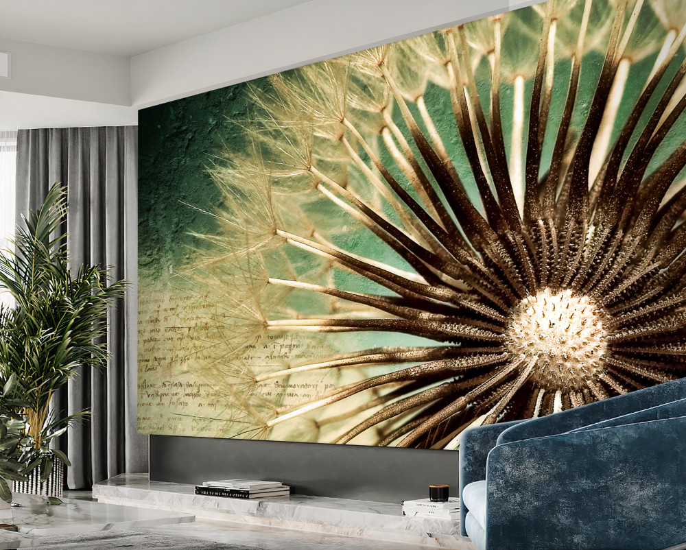 Fototapeta delikatne serce mniszka lekarskiego