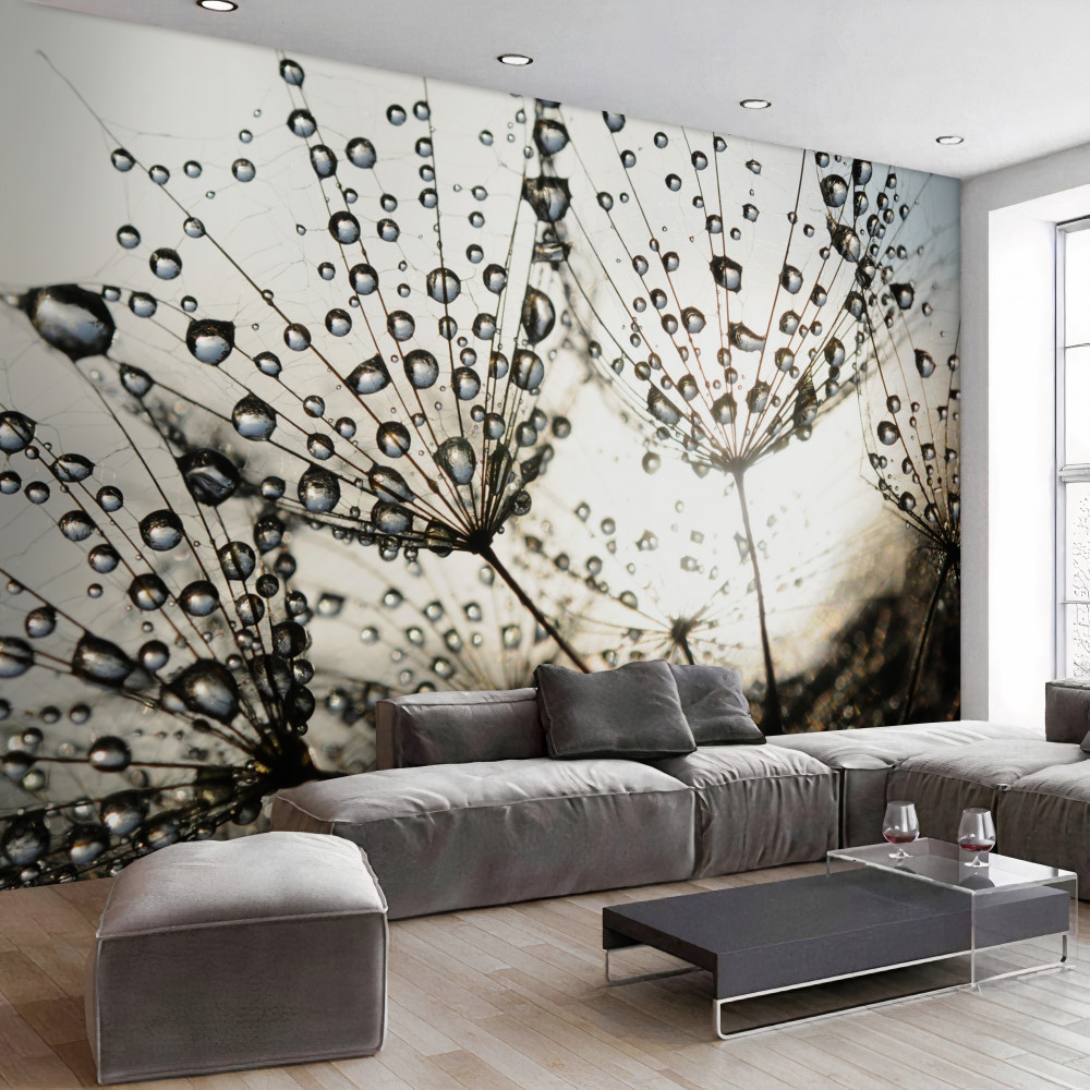 Fototapeta mniszek lekarski po deszczu