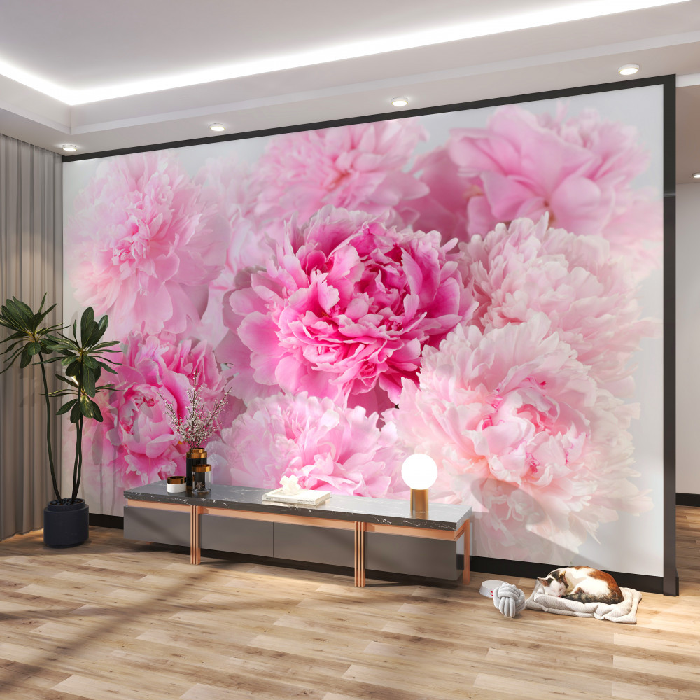 Fototapeta śliczne różowe piwonie