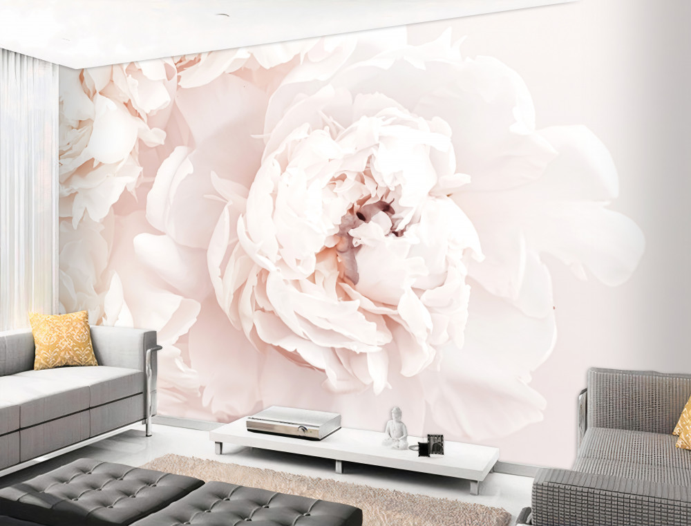 Fototapeta piękna delikatna pastelowa piwonia