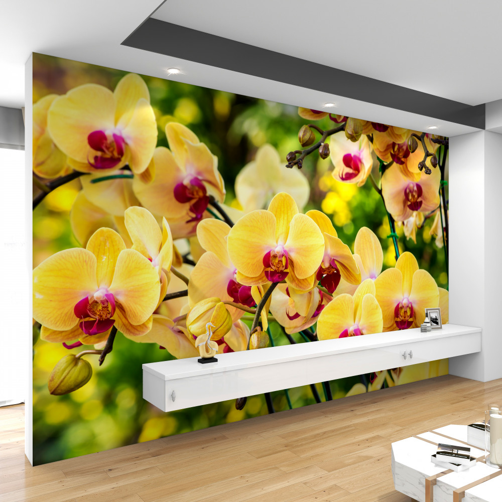 Fototapeta żółte orchidee w letnim ogrodzie