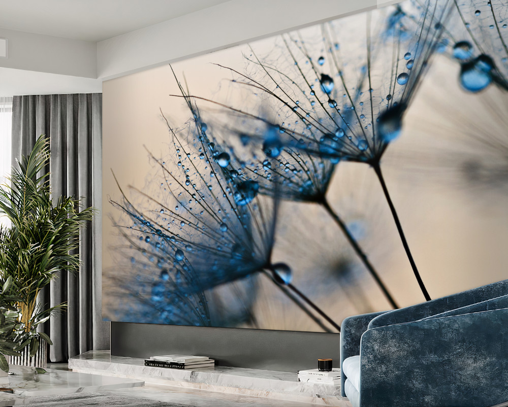 Fototapeta poranna rosa na przewiewnych mleczach