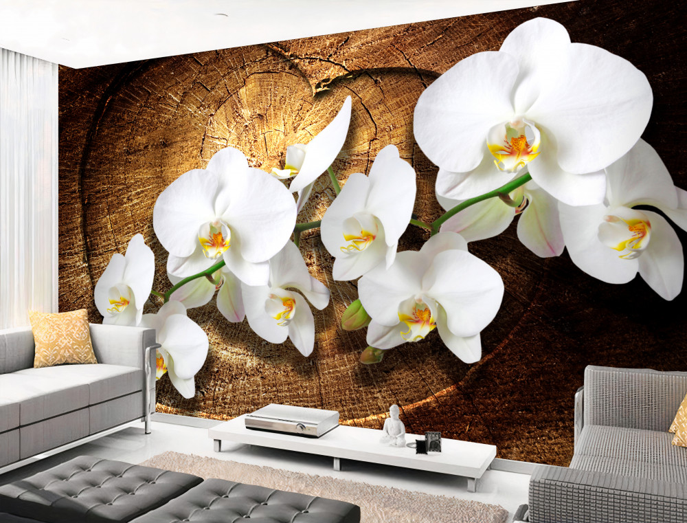 Fototapeta biała orchidea na kłodzie