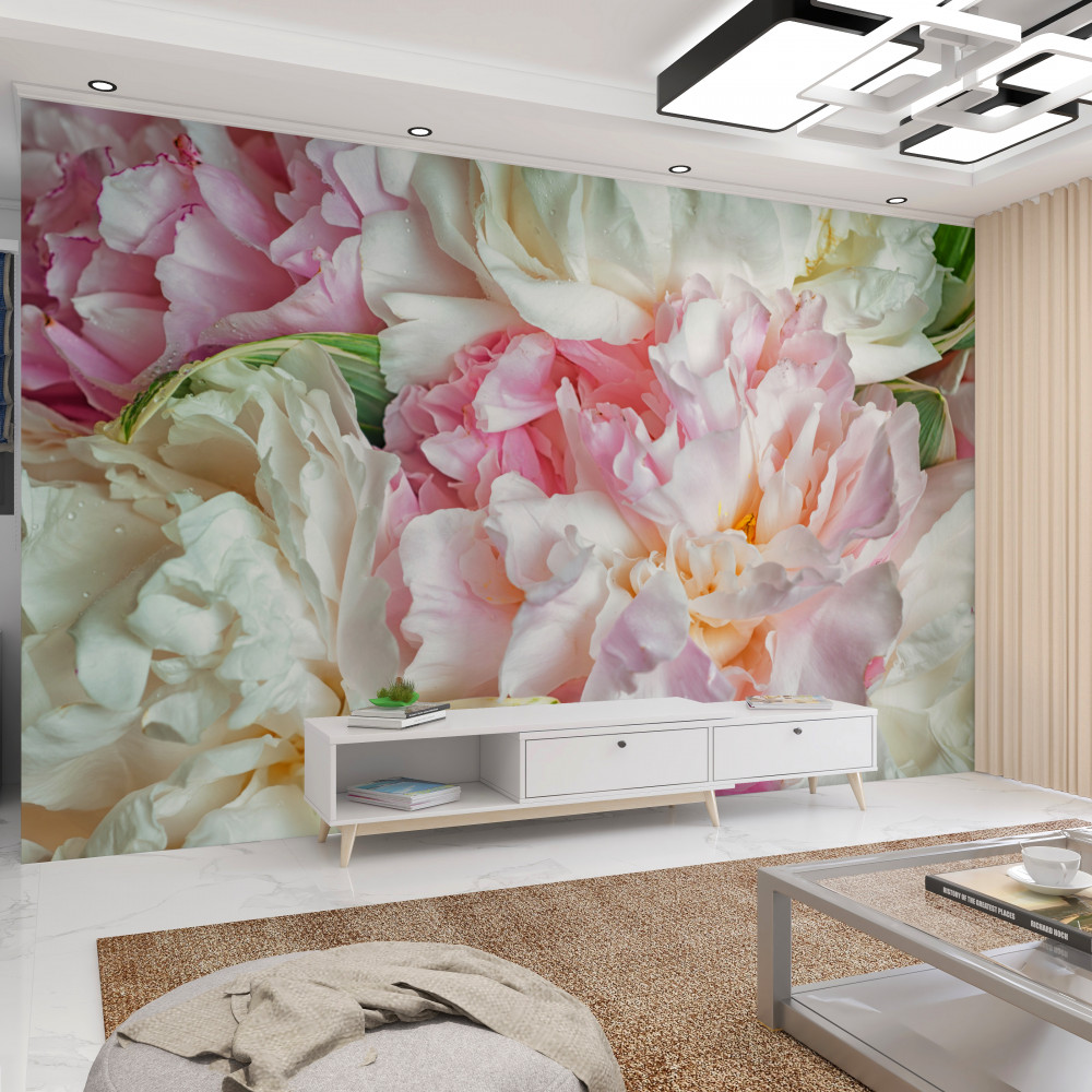 Fototapeta delikatne płatki kwiatów