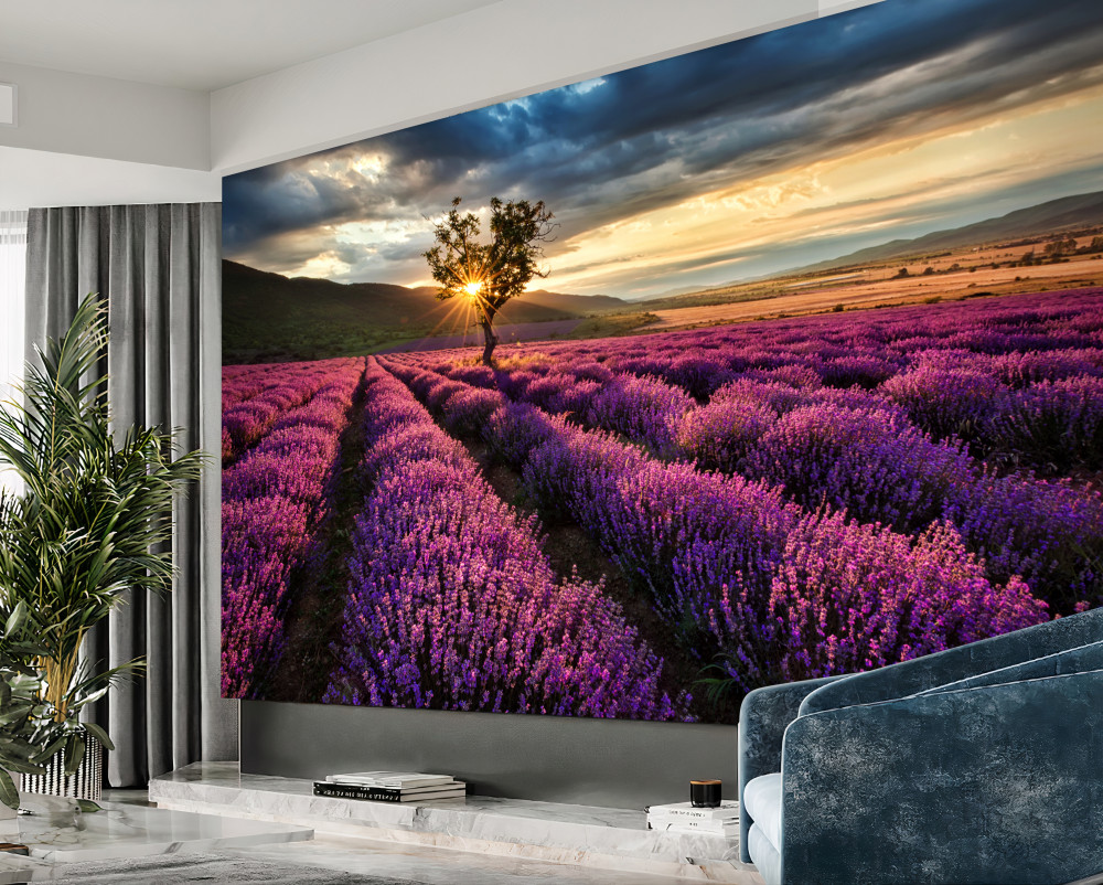Fototapeta samotne drzewo na polu lawendy o zachodzie słońca
