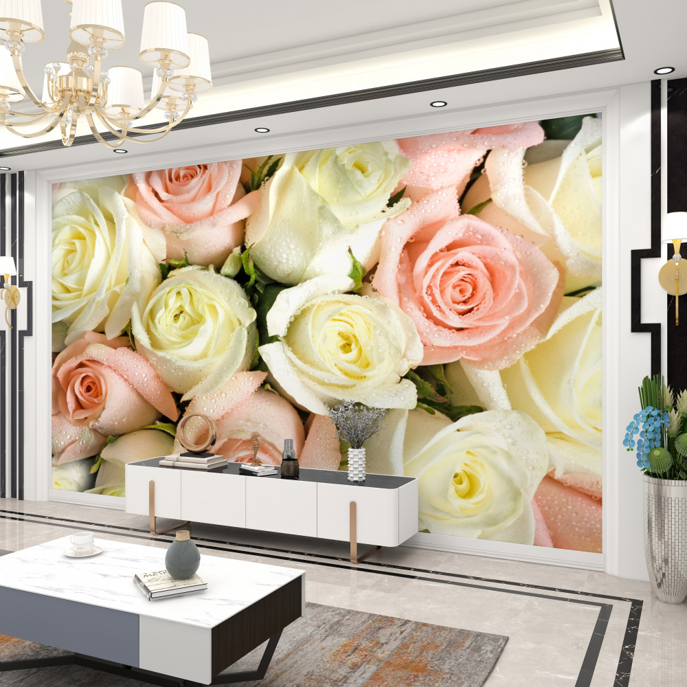 Fototapeta duże białe i różowe pąki róż